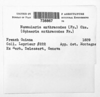 Image Associated With the Occurence